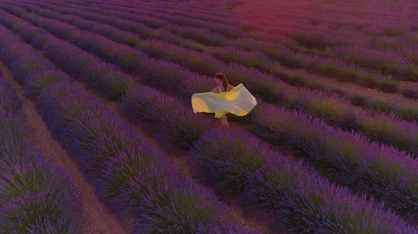 DRONE: Volando por encima de niña despreocupada caminando a través de campos de lavanda al atardecer — Foto de Stock