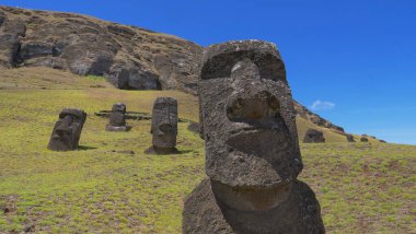 Çayırdaki siyah volkanik kaya heykellerinin muhteşem manzarası.