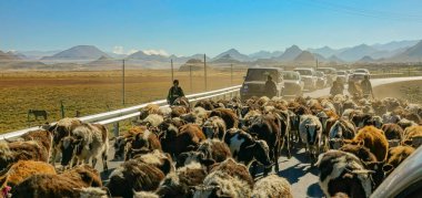 Yerel Tibetli çiftçiler bir sığır sürüsüne yol gösterip trafik sıkışıklığı yarattılar.