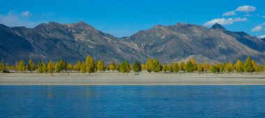 Sonbahar ağaçlarıyla dolu boş bir parkın yakınındaki sakin bir gölün panoramik manzarası.