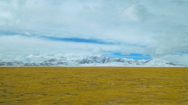 Devasa yeşil ovalar Tibet 'in görkemli karlı dağlarına kadar uzanır..