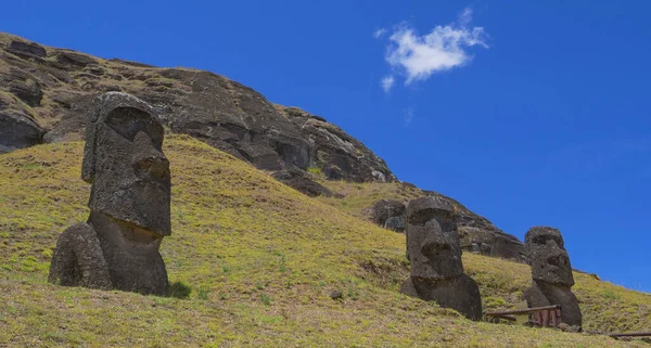 Τα αρχαία ελάφια είναι διασκορπισμένα γύρω από τα λιβάδια κάτω από το ηφαίστειο.. — Φωτογραφία Αρχείου