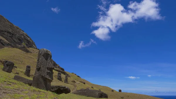 Тропа ведет мимо группы увлекательных статуй моаи на острове Пасхи. — стоковое фото
