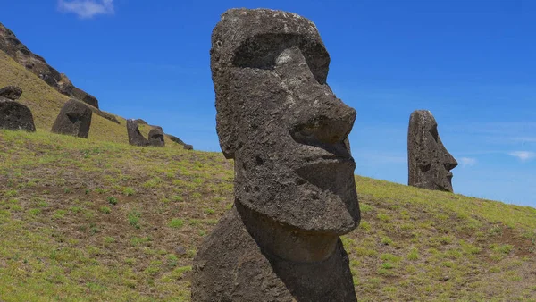 Πτήση κοντά σε ένα μεγάλο γλυπτό Moai στέκεται σε ένα μεγάλο λιβάδι. — Φωτογραφία Αρχείου