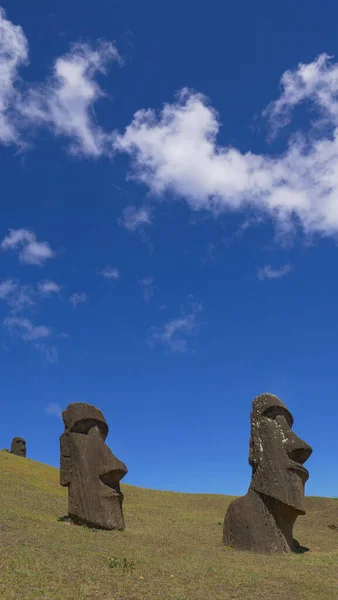 VERTICAL: Malownicze ujęcie historycznych posągów moai pod błękitnym niebem. — Zdjęcie stockowe