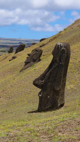 VERTICAL: Spektakularny widok na moai posągi rozrzucone wokół zielonych łąk. — Zdjęcie stockowe