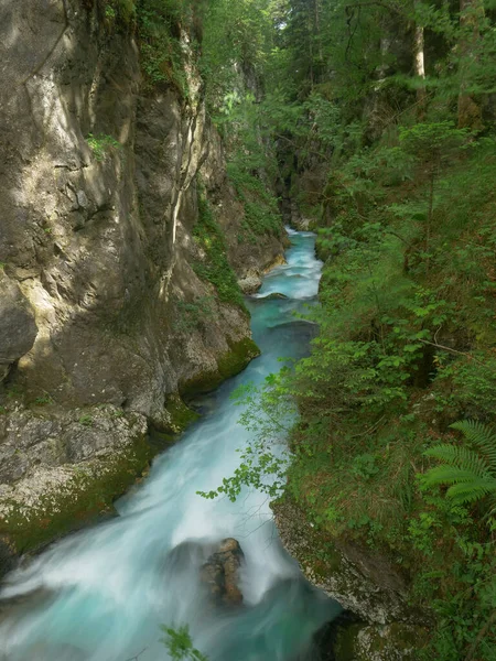 VERTICAL: Прекрасний вид бірюзового потоку, що проходить через ліс — стокове фото