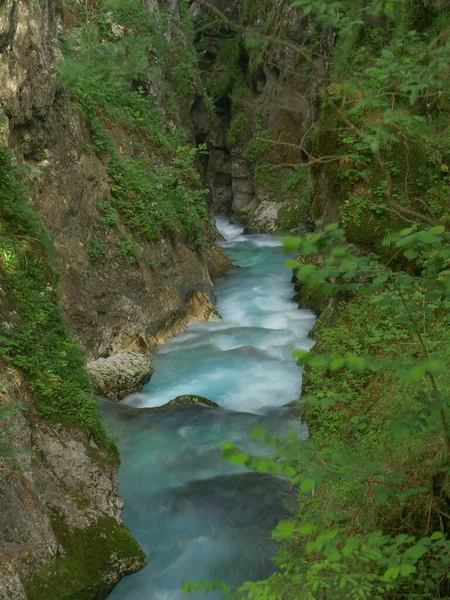 VERTICAL: Crystal clear water flowing down a gorge in the tranquil forest. — 스톡 사진