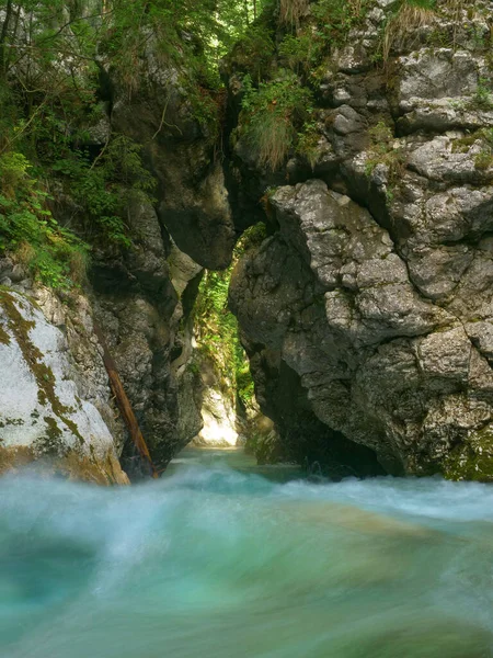 CLOSE UP: Adembenemend uitzicht op een turkoois gekleurde rivier in het rustige bos. — Stockfoto