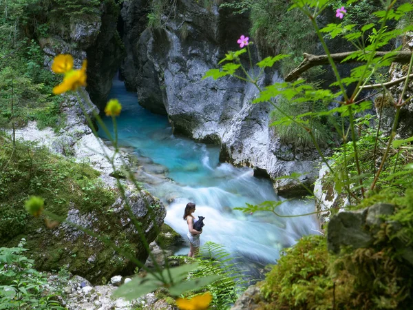 Colorful flowers stretch over the female hiker standing by river with her dog. — 스톡 사진