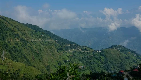 绿山和穿越森林的小乡村道路的壮观景色. — 图库照片