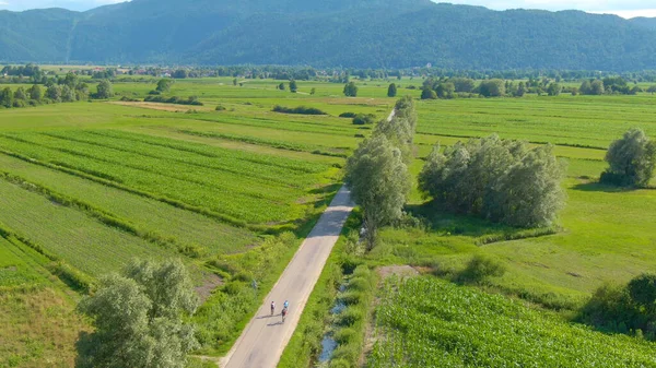 DRONE: Flyger ovanför en grupp av väg cyklister rider sina cyklar på vägen. — Stockfoto