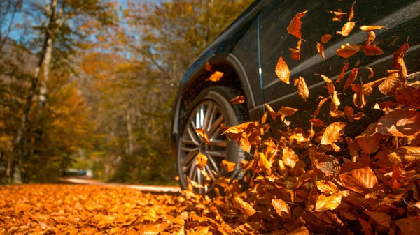 Büyük 4x4 araç kahverengi yapraklarla dolu bir yol boyunca ilerliyor..
