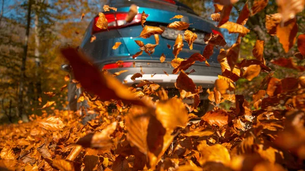 LOW ANGLE: Dry tree leaves rustle and fly in air as SUV drives down the road — Stock Photo, Image