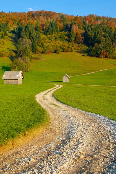 Пустая гравийная дорога ведет через пустые пастбища к красочному лесу. — стоковое фото