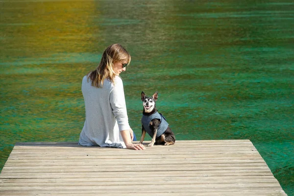 CLOSE UP: Junge Frau streichelt ihren Zwergpinscher, während sie auf einem Steg sitzt. — Stockfoto