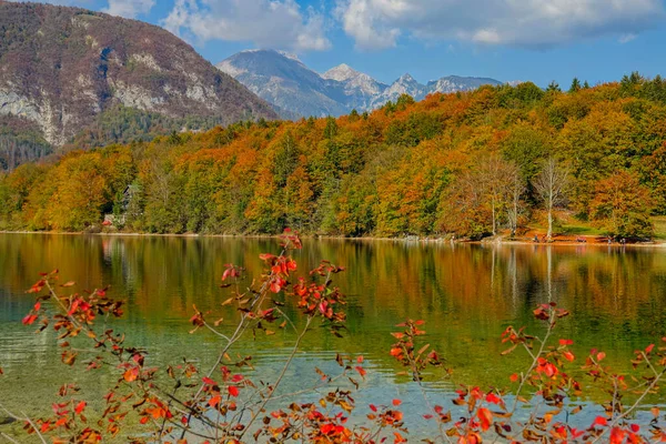 CLOSE UP: Prachtig uitzicht op een smaragd meer en bos draaiende bladeren in de herfst — Stockfoto