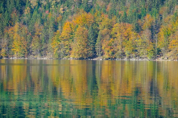 Красивый снимок покрытого лесом холма, отраженного на поверхности спокойного озера. — стоковое фото