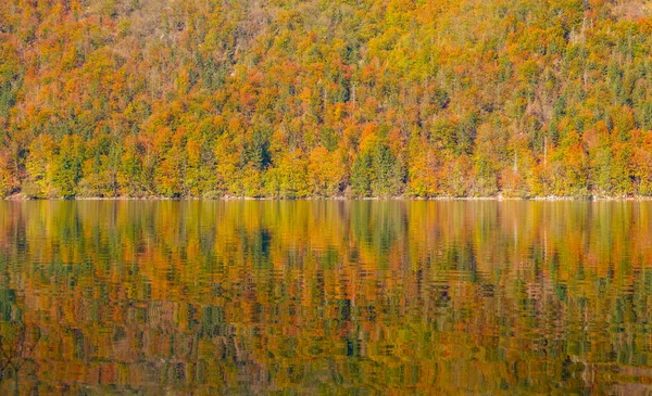 Gorgeous shot of forest covered hill reflected in the surface of a serene lake. — Stock Photo, Image