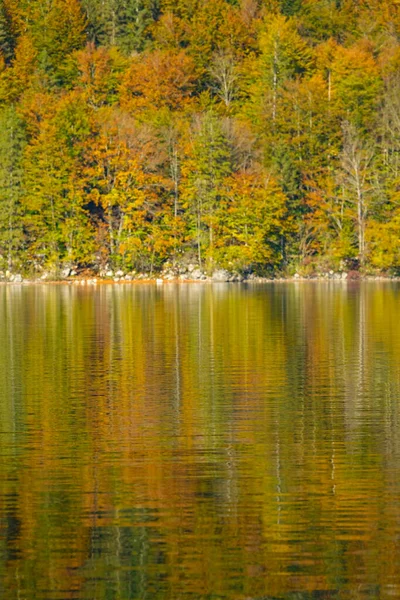 VERTICALE : Vue imprenable sur la forêt aux feuilles tournantes reflétées dans le lac. — Photo