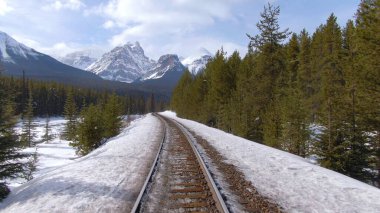 Karlı çam ormanlarından geçen paslı tren rayları boyunca uçuyorum..