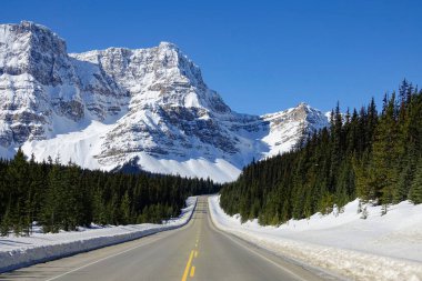 Güneşli bir kış gününde ünlü Icefields Parkway güzergahı boyunca araba sürüyorum..