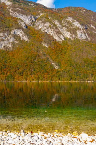 VERTICAL: Rotsachtige berg bedekt met kleurrijke bos wordt weerspiegeld in rustige meer — Stockfoto