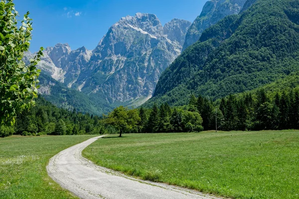 DRONE: Gebarsten weg loopt langs de weiden onder de adembenemende bergen. — Stockfoto