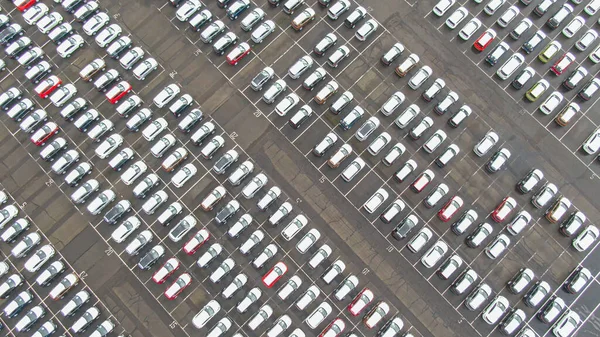 TOP DOWN: Létání nad masivním parkovištěm plným nových vozidel připravených k vývozu. — Stock fotografie