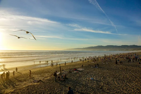 AERIAL: Belo tiro de gaivotas voando sobre Santa Monica Beach ao pôr do sol — Fotografia de Stock