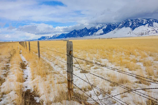 CLOSE UP: Barbed wire fence runs around a golden pasture under the snowy Rockies — Stock Photo, Image