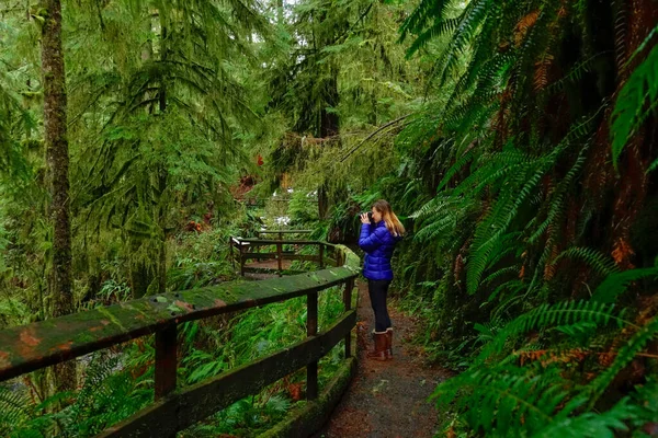 Жінка фотографує красиві дерева, йдучи по лісу, де вирує життя.. — стокове фото