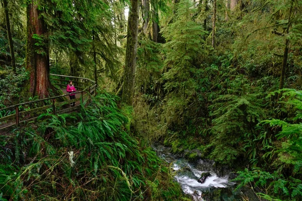 DRONE: Glassy river runs below female photographer looking for inspiration. — Stock Photo, Image