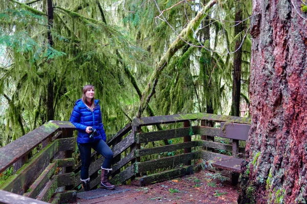 CLOSE UP: Photographer looks up at the massive spruce deep in Hoh Rainforest. — Stock Photo, Image
