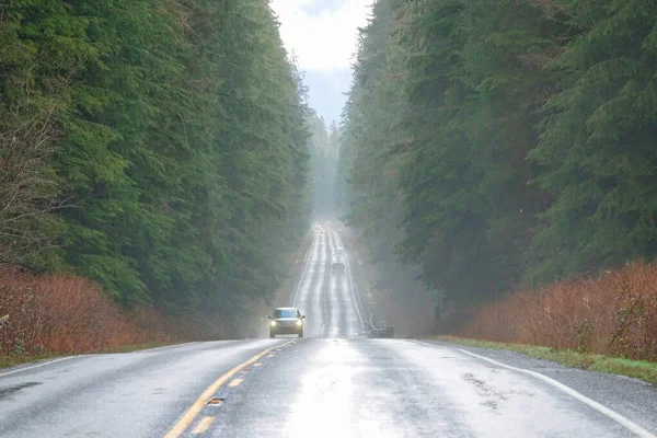 Samochody jadą w górę i w dół mokrej autostrady przejeżdżając przez Olympic National Park. — Zdjęcie stockowe