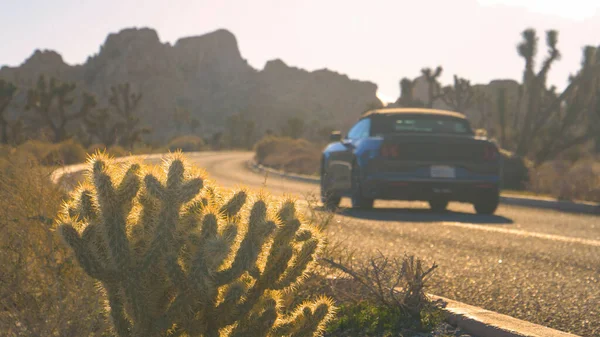 CERRAR: Cruceros en coche por un camino pintoresco que conduce a través del parque del árbol Joshua. — Foto de Stock