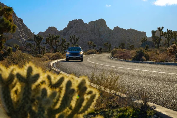 MOCIÓN LENTA: Coche conduce a lo largo de la carretera que conduce a través del parque nacional Joshua Tree — Foto de Stock