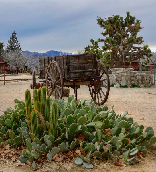 FECHAR UP: Scenic shot of a wooden wagon standing next to a prickly cactus. — Fotografia de Stock