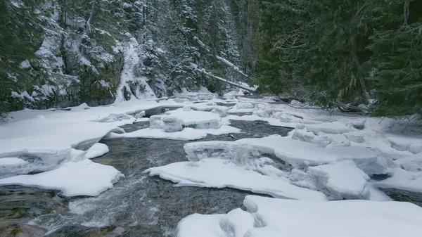 DRONE : Voler le long d'un ruisseau de montagne traversant une forêt enneigée pittoresque. — Photo