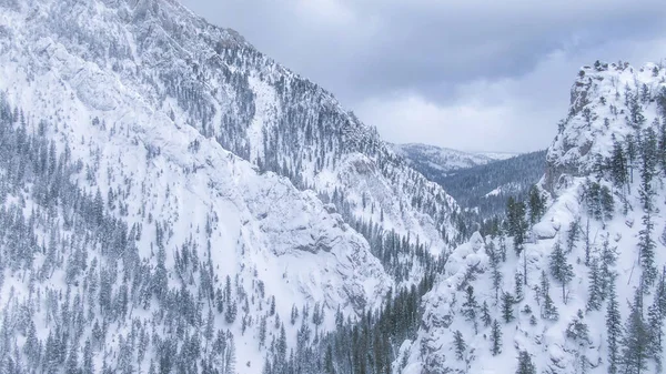 AERIAL: Donkere wolken verzamelen zich boven de sparren bossen die de besneeuwde vallei bedekken — Stockfoto