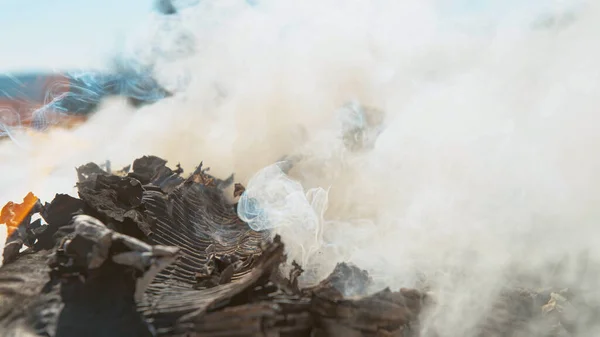 Dettagliato colpo di nube di fumo che esce da un mucchio di cartone in fiamme. — Foto Stock