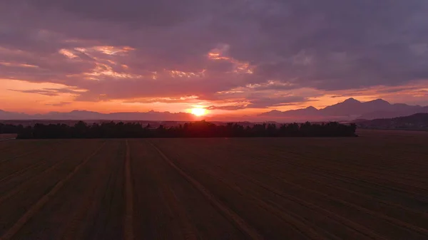 DRONE: Golden Sunrise belyser försiktigt den lugna jordbruksmarken i Slovenien. — Stockfoto