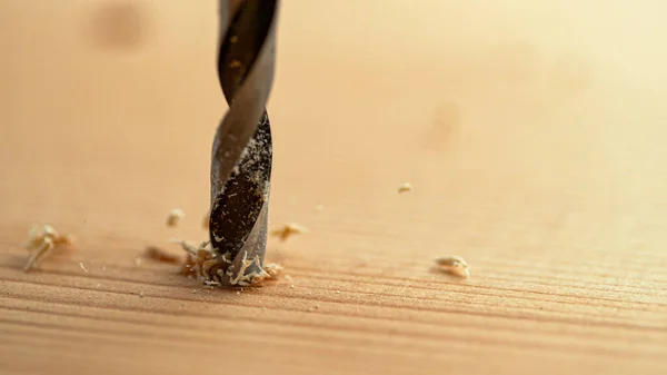 MACRO, DOF: Carpinteiro começa a perfurar em uma prancha com uma nova broca de energia . — Fotografia de Stock
