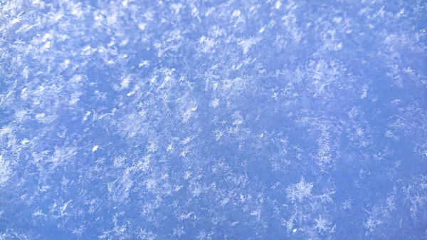 CLOSE UP: Detailed shot of frozen snowflakes stuck to a light blue icy surface. — Stock Photo, Image