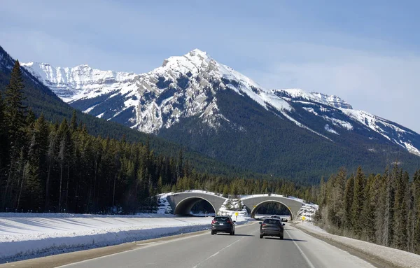 POV:絵のように美しいトランスカナダハイウェイの短いトンネルに向かって運転する. — ストック写真