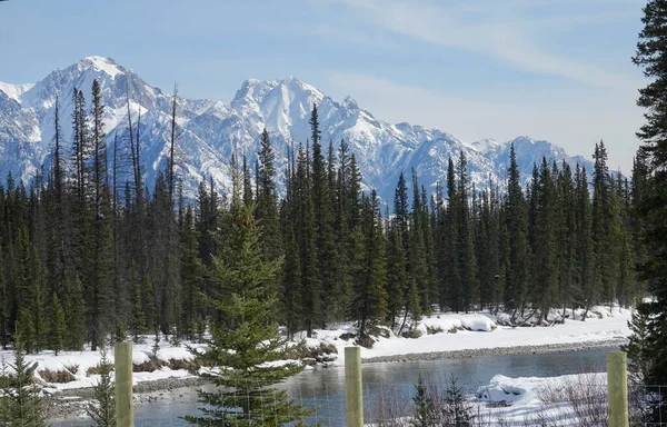 Banff boyunca uzanan cam bir dağ deresinin üzerindeki görkemli kayalık tepe kuleleri. — Stok fotoğraf