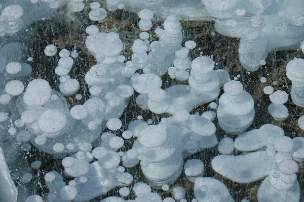 CLOSE UP: Bubbles freeze in the depths of Lake Abraham during a frigid winter.