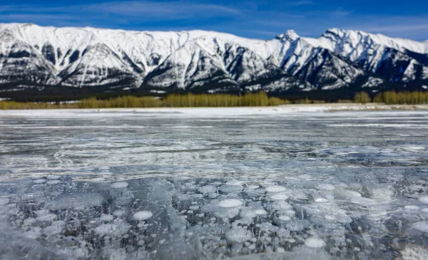 CERRAR: Burbujas de metano suben a la superficie congelada del lago Abraham en un día soleado. — Foto de Stock