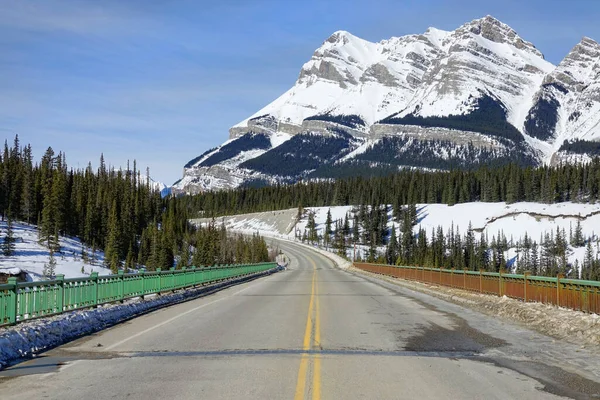 POV: Driving across a bridge during a road trip along Icefields Parkway route. — ストック写真