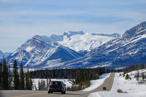 Two cars drive down the empty road leading towards the snowy Canadian Rockies.